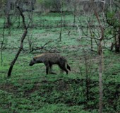 2005 Zuid Afrika 09